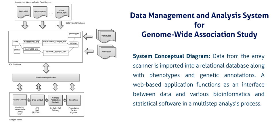 Data Management And Analysis System For Genome-Wide Association Study ...